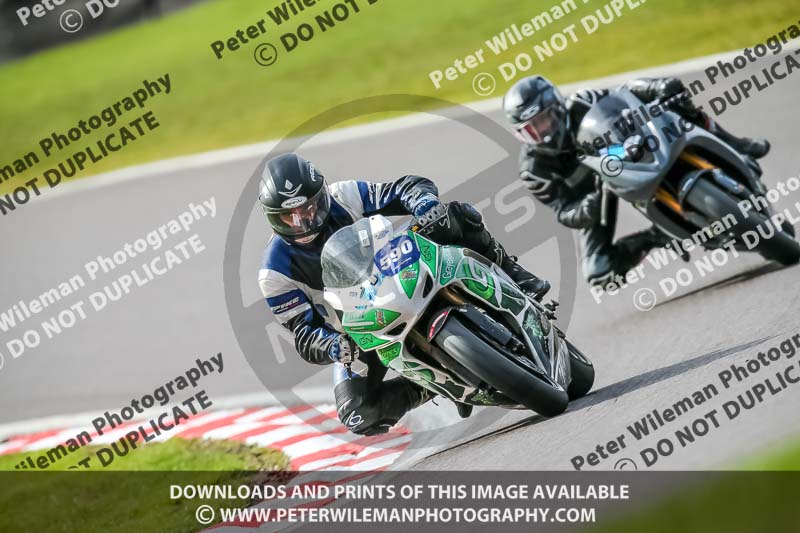 Oulton Park 21st March 2020;PJ Motorsport Photography 2020;anglesey;brands hatch;cadwell park;croft;donington park;enduro digital images;event digital images;eventdigitalimages;mallory;no limits;oulton park;peter wileman photography;racing digital images;silverstone;snetterton;trackday digital images;trackday photos;vmcc banbury run;welsh 2 day enduro